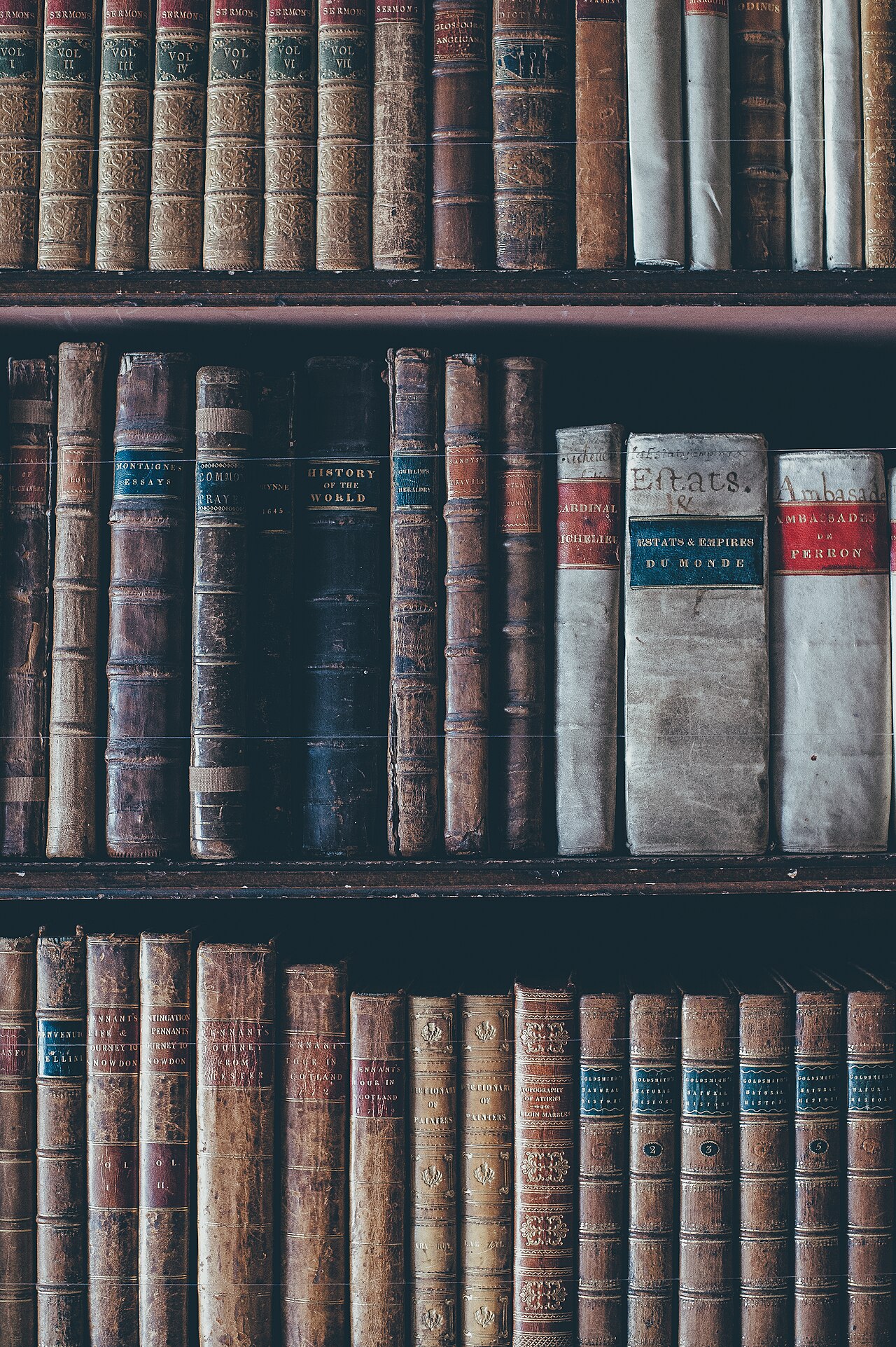 Scrivener, Word or Google Docs: Which Writing Software Should You Choose to Write Your Book in 2025?